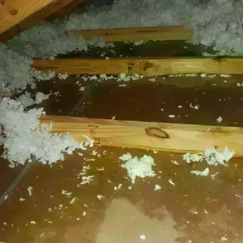 Attic Water Damage in Jones Creek, TX